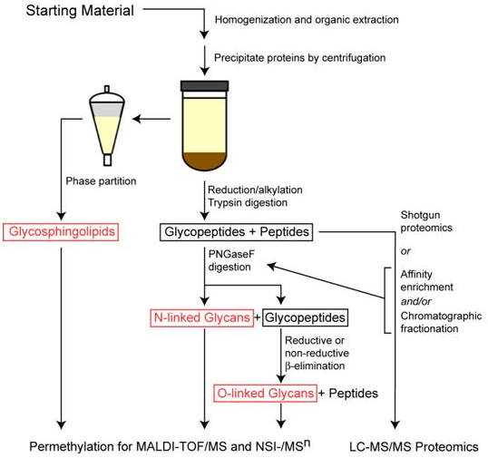 Mass spectrometry GRITS Toolbox